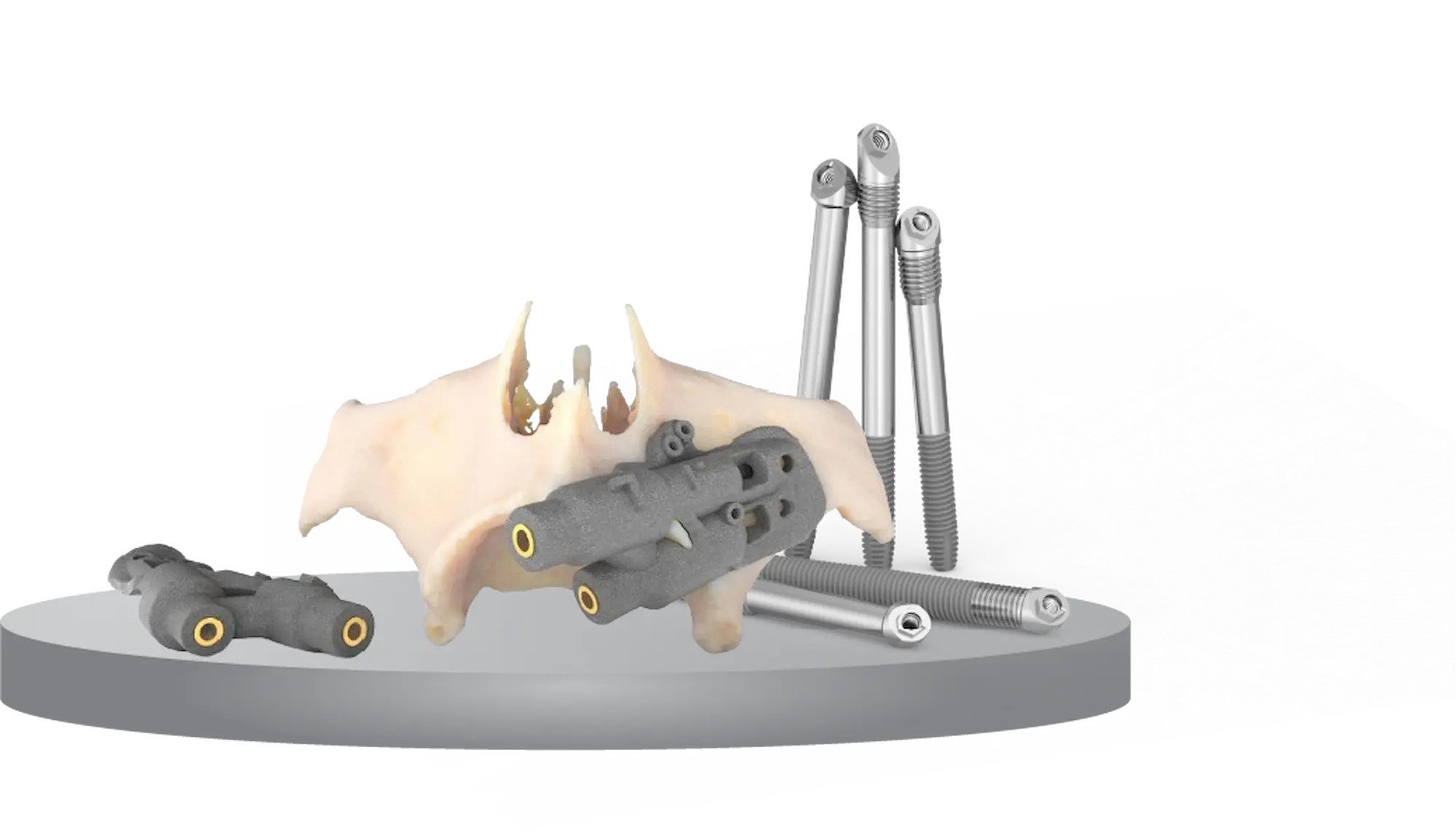 Os et équipements chirurgicaux sur socle.